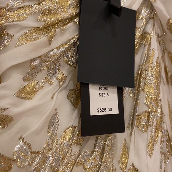 Rachel Zoe Bella l Metallic Silk Goddess Gown - Picture 10 of 14